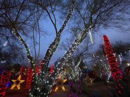 Ethel M to host Valentine's Day 'Lights of Love' display in Cactus Garden