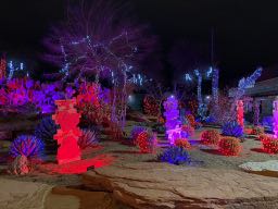 Ethel M to host Valentine's Day 'Lights of Love' display in Cactus Garden