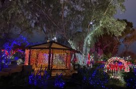 Lights of Love' opens at Ethel M cactus garden ahead of Valentine's Day