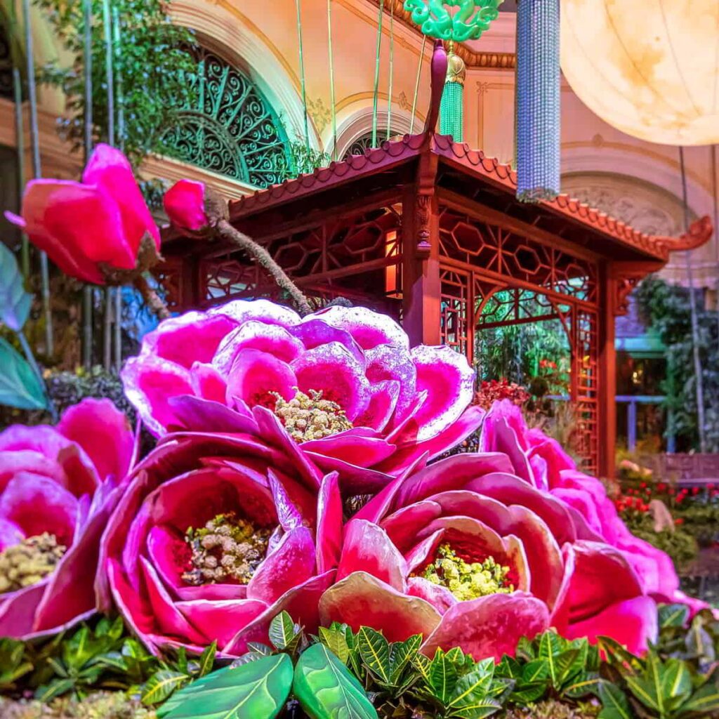 LAS VEGAS - JAN 19 : Chinese New Year In Bellagio Hotel Conservatory &  Botanical Gardens On January 19, 2015 In Las Vegas. There Are Five Seasonal  Themes That The Conservatory Undergoes